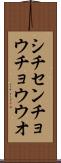 シチセンチョウチョウウオ Scroll