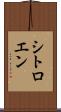 シトロエン Scroll