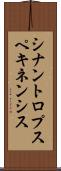シナントロプスペキネンシス Scroll