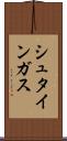 シュタインガス Scroll
