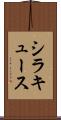 シラキュース Scroll