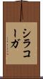 シラコーガ Scroll