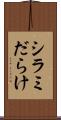 シラミだらけ Scroll