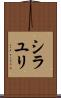 シラユリ Scroll
