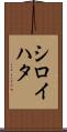 シロイハタ Scroll