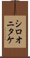シロオニタケ Scroll