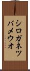 シロガネツバメウオ Scroll