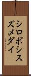 シロボシスズメダイ Scroll