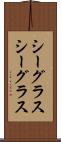シーグラス Scroll