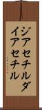 ジアセチル Scroll