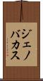 Jenovacus Scroll