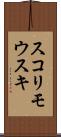 スコリモウスキ Scroll