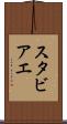 スタビアエ Scroll