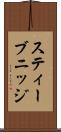 スティーブニッジ Scroll