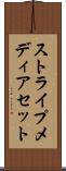 ストライプメディアセット Scroll