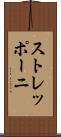 ストレッポーニ Scroll