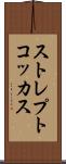 ストレプトコッカス Scroll