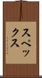 スペックス Scroll