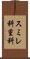 スミレ科 Scroll