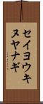 セイヨウキヌヤナギ Scroll