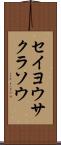セイヨウサクラソウ Scroll