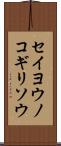 セイヨウノコギリソウ Scroll