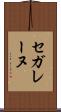 セガレーヌ Scroll