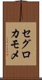 セグロカモメ Scroll