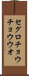 セグロチョウチョウウオ Scroll