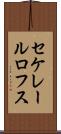 セケレールロフス Scroll