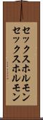 セックスホルモン Scroll