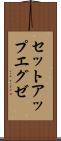 セットアップエグゼ Scroll