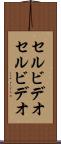 セルビデオ Scroll