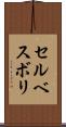 セルベスボリ Scroll