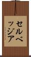 セルベッジア Scroll