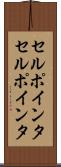 セルポインタ Scroll