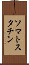 ソマトスタチン Scroll