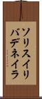 ソリスイリバデネイラ Scroll