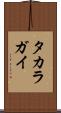 タカラガイ Scroll