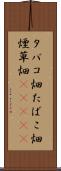 タバコ畑 Scroll