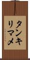タンキリマメ Scroll