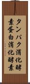 タンパク消化酵素 Scroll