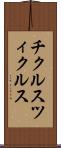 チクルス Scroll