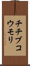 チチブコウモリ Scroll