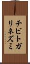 チビトガリネズミ Scroll