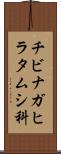 チビナガヒラタムシ科 Scroll