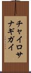 チャイロサナギガイ Scroll