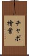 チャボ檜葉 Scroll