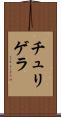 チュリゲラ Scroll