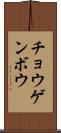 チョウゲンボウ Scroll